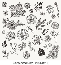 Hand drawn summer flowers. Vector set