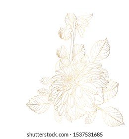 Hand drawn summer golden bouquet: rustic Dahlia, line art. Hand painted flowers isolated on white background for design.