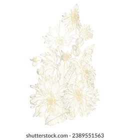 Hand drawn summer golden bouquet: rustic Dahlia, line art. Hand painted flowers isolated on white background for design.