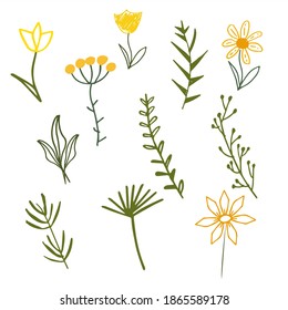 Hand drawn summer leaves, flowers and branches. Floral twig, botanical branch  and leaf doodle. Isolated vector icons set