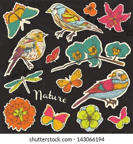 Hand drawn summer nature, birds and butterfly