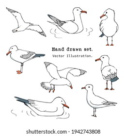 Hand drawn summer print. Marine pattern in Doodle style. Set of gull, seabird, flying seagull illustration.  Isolated cartoon vector illustration set. Collection of cruise icons. Sea, ocean, beach