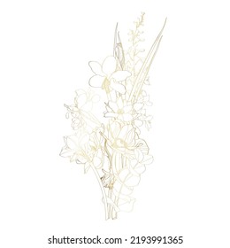 Ramo dorado de primavera estival dibujado a mano: flores rústicas de jardín, arte de líneas. Flores pintadas a mano aisladas en un fondo blanco para el diseño.