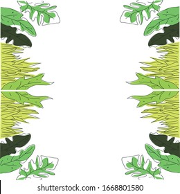 Hojas tropicales de verano dibujadas a mano.Diseño vectorial.