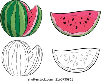 Hand drawn Summer Watermelon Fruit illustration Isolated on a White Background, Watermelon Slice Set Vector