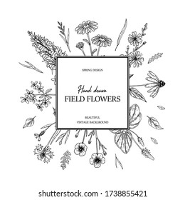 Hand drawn summer wild flowers square frame. Vector illustration in sketch stile