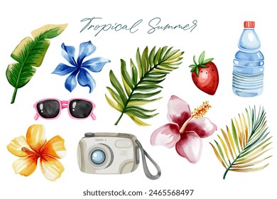 Hand drawn summertime clipart. Watercolor tropical set. Exotic flowers. Summer elements. Palm leaves.