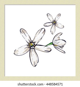 Hand drawn summertime fashion illustration: white flowers. Isolated vector art element on white background in sketch style.