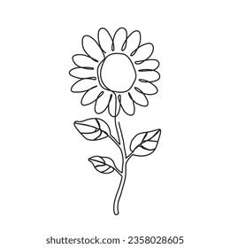 Hand drawn sunflower in continuous one line style. Vector illustration outline of flower isolated on white background