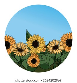 Hand drawn Sunflower flower blooming and blue sky. Botanical summer yellow flowers plant