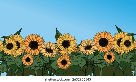 Hand drawn Sunflower flower blooming and blue sky. Botanical summer yellow flowers plant	