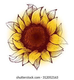 Hand drawn sunflower. Flower sunflower with painted heart and petals.