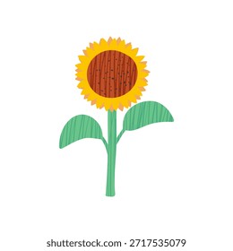 Gráfico de girasol dibujado a mano con textura. Flor amarilla del verano. Ilustración vectorial