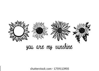 Hand drawn sunflower illustration set  You are my sunshine