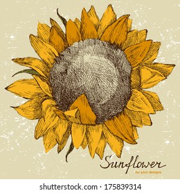 Hand Drawn Sunflower In Retro Style