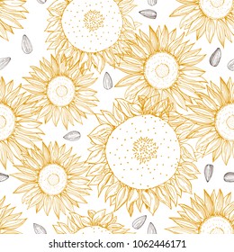 Hand drawn sunflower.  Vector  seamless pattern