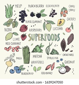 Hand drawn superfood collection. Vector Illustration