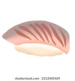 hand drawn sushi food illustration