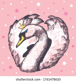 Hand drawn swan on pink background vector illustration