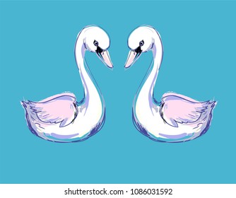 Hand Drawn Swan Vector illustration