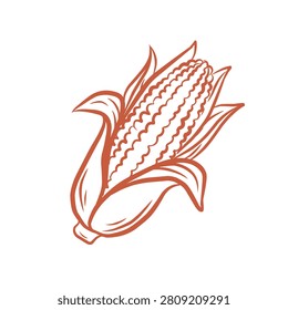 Hand Drawn Sweet Corn Cob Autumn Harvest Line Art
