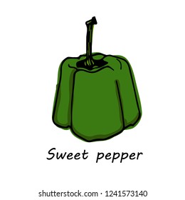 Hand drawn Sweet pepper isolated on white background. vector illustration.