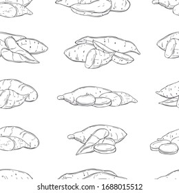Hand drawn sweet potato.  Vector seamless pattern.