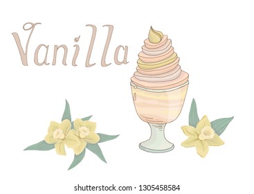 Hand drawn sweet vanilla ice cream isolated vector illustration with flowers and lettering