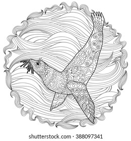 Hand drawn swimming seal with high details for anti stress coloring page, illustration in zendoodle style. Sketch for tattoo, poster, print, t-shirt in zentangle style. Vector.
