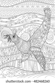 Hand drawn swimming seal with high details for anti stress coloring page, illustration in tracery style. Sketch for tattoo, poster, print, t-shirt in zendoodle style. Vector.