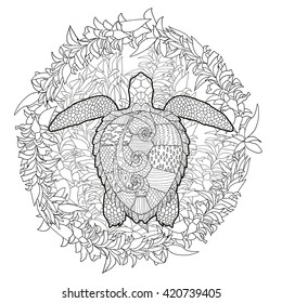 Hand drawn swimming turtle with high details