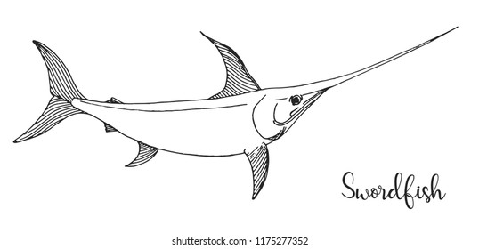 Hand drawn swordfish. Vector illustration in sketch style