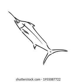 Pescado espada dibujado a mano. Ilustración vectorial en el estilo de esbozo
