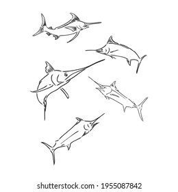 Pescado espada dibujado a mano. Ilustración vectorial en el estilo de esbozo