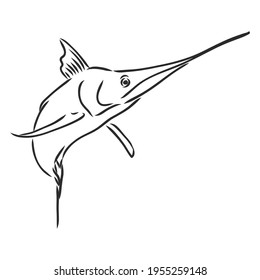 Hand drawn swordfish. Vector illustration in sketch style
