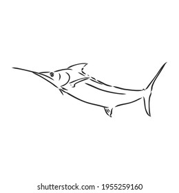 Hand drawn swordfish. Vector illustration in sketch style