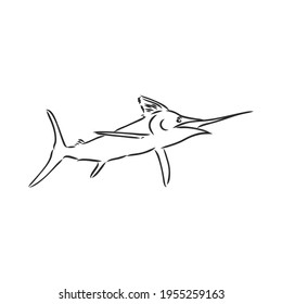 Pescado espada dibujado a mano. Ilustración vectorial en el estilo de esbozo