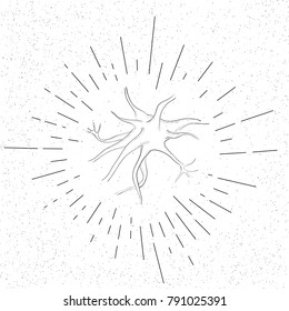 Hand Drawn Symbol of Brain Cell Neuron  - Doodle Vector Hatch Icon
