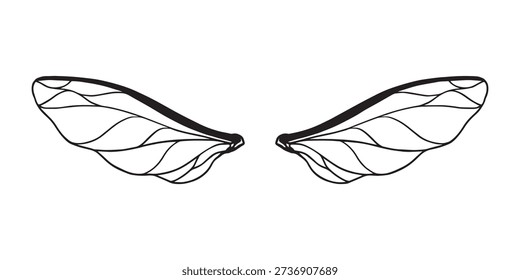 hand drawn symmetrical wings