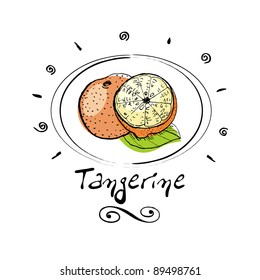 hand drawn tangerine in vignette