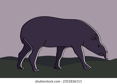 Hand drawn Tapir animal. Exotic animal background. Vector illustration