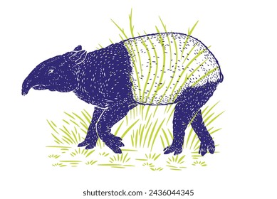 Hand drawn tapir in color sketch style. Animal south america isolated on white background. Vector vintage illustration.