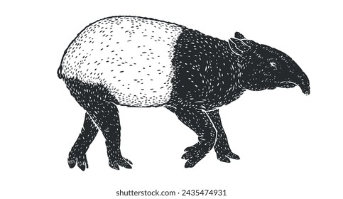 Hand drawn tapir in monochrome sketch style. Animal south america isolated on white background. Vector vintage illustration.