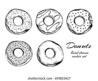 Hand drawn tasty donuts. Graphic vector set. All elements are isolated