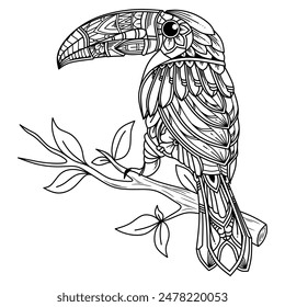 Hand drawn of taucan lineart