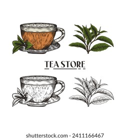 Hand drawn tea cup and tea leaf illustration in engraving style for menu or cafe.