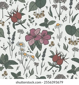 Hand drawn tea herbs seamless pattern. Floral design with hibiscus, rosehip, chamomile, lavender, linden, valerian plants for fabric, textile, wrapping paper, gift paper, packaging