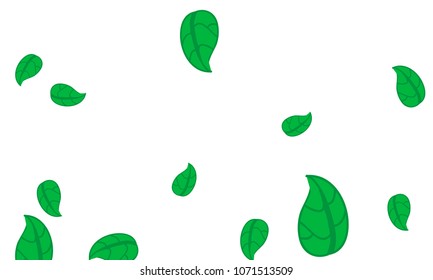 Hand Drawn tea leaf background. Vector summer composition of tea leaves on white background. Sketch cartoon style illustration and background pattern. Hand drawn herbal green tea.