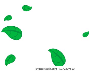 Hand Drawn tea leaf background. Vector summer composition of tea leaves on white background. Sketch cartoon style illustration and background pattern. Hand drawn herbal green tea.