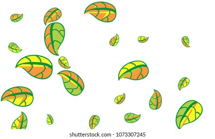 Hand Drawn tea leaf background. Vector summer composition of tea leaves on white background. Sketch cartoon style illustration and background pattern. Hand drawn herbal green tea.